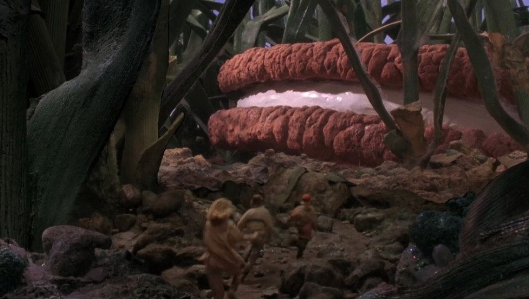 El paraíso de la galleta gigante en El paraíso de la galleta gigante en